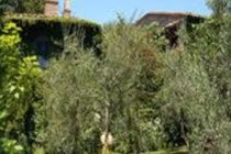 ホテル Porciglia Alta モンテスペルトリ エクステリア 写真